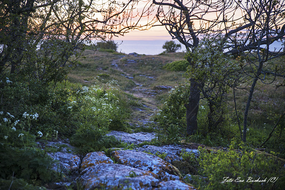 Foto av Eva Bucksch